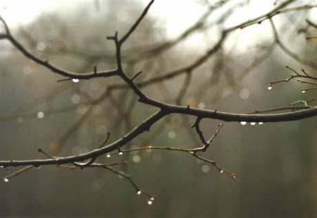  KPHOTO